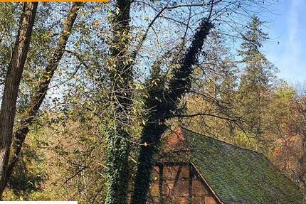 Haus Mömbris Niedersteinbach - 895.000&euro; | Angebot:24517273