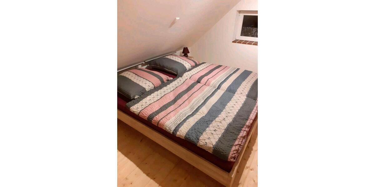 Einfamilienhaus Jade - 2 Zimmer, 60 m&sup2;, 750&euro; | Angebot:26401986