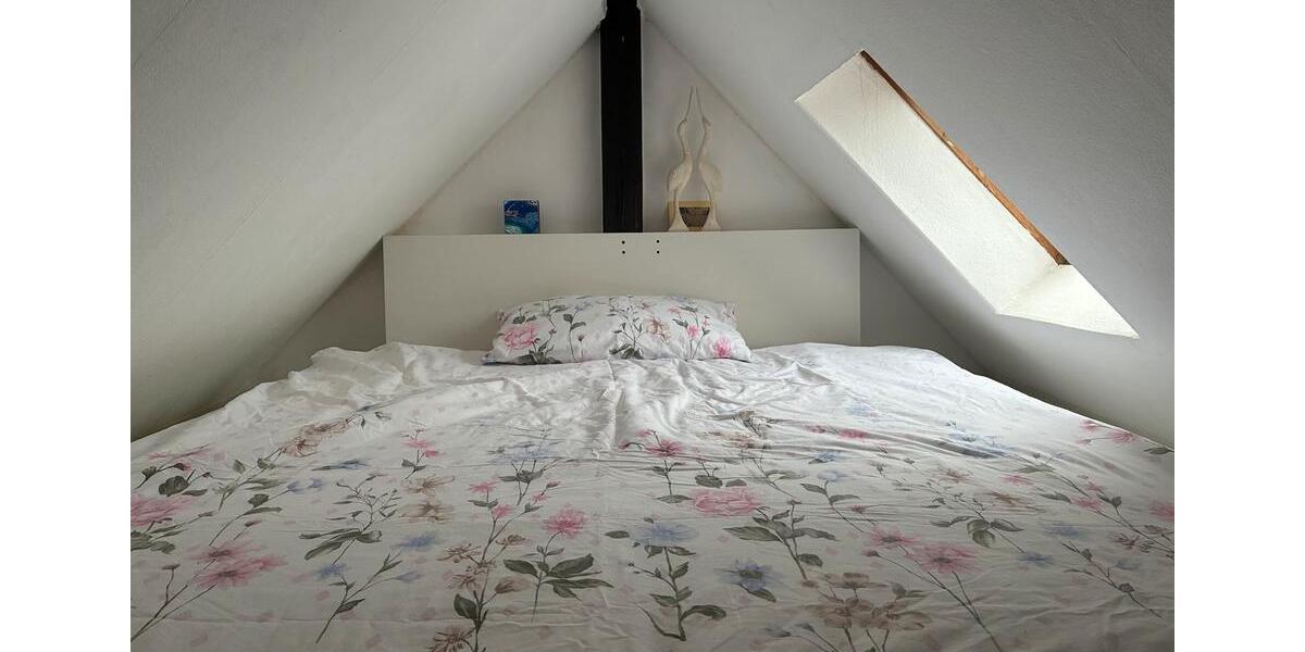 Dachgeschoßwohnung Hanau Großauheim - 1 Zimmer, 30 m&sup2;, 385&euro; | Angebot:24893215