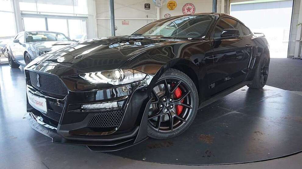 Mustang