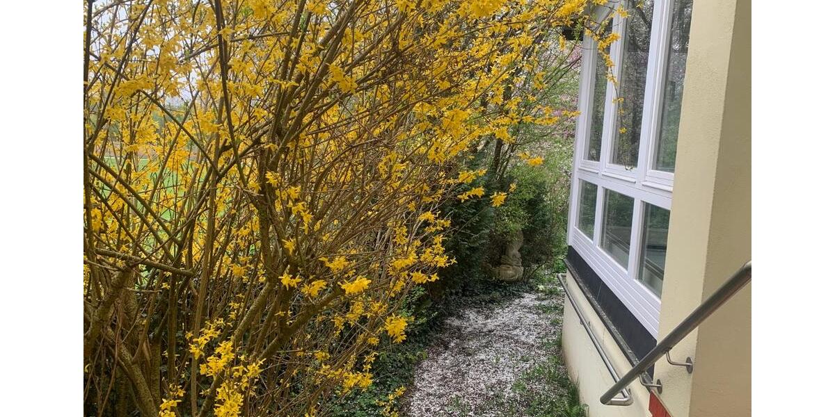 Einfamilienhaus Arnstorf - 6 Zimmer, 150 m&sup2;, 1.490&euro; | Angebot:26326548