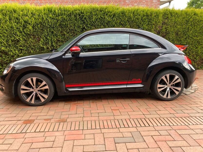 Beetle