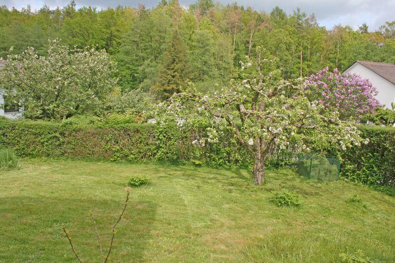 Doppelhaushälfte Eggenfelden - 3 Zimmer, 80 m&sup2;, 1.100&euro; | Angebot:26338335