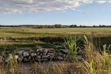 Wohnung Geiselhöring - 5 Zimmer, 160 m&sup2;, 1.270&euro; | Angebot:25137741