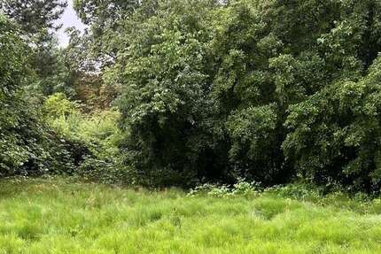 Grundstück zu verkaufen in Braunschweig Schuntersiedlung 630.000 € 1539 m² zimmer