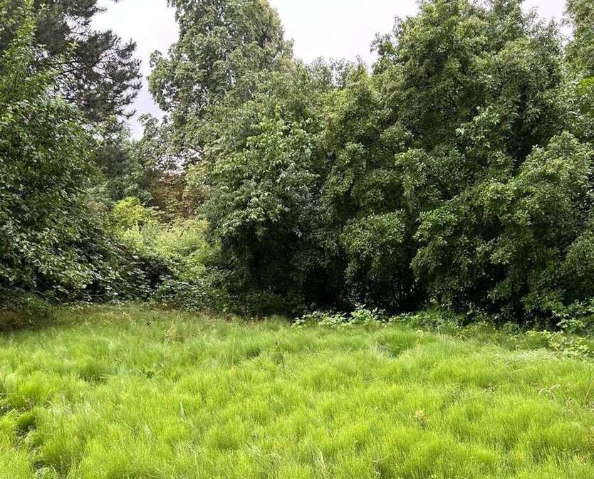 Grundstück zu verkaufen in Braunschweig Schuntersiedlung 630.000 € 1539 m² zimmer