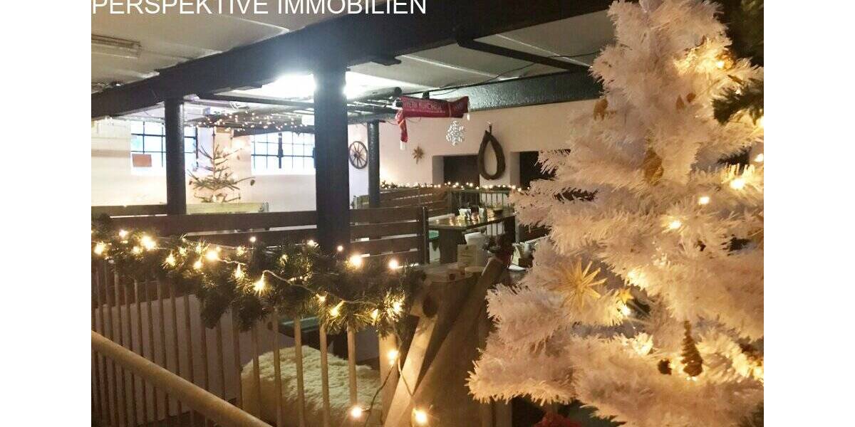 Gewerbeobjekt Michelstadt Steinbach - 934.000&euro; | Angebot:25743236