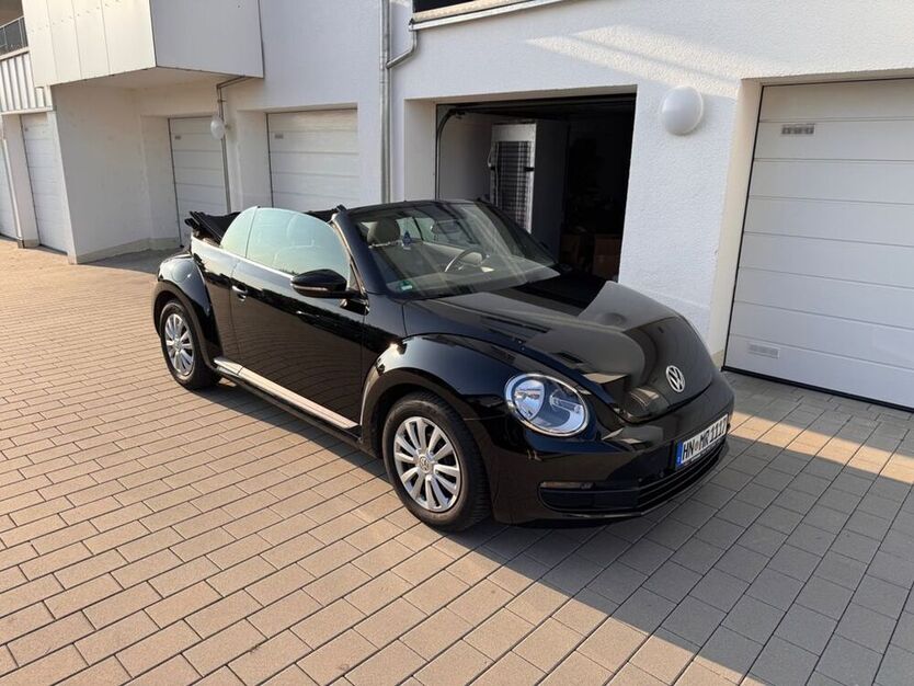 Beetle
