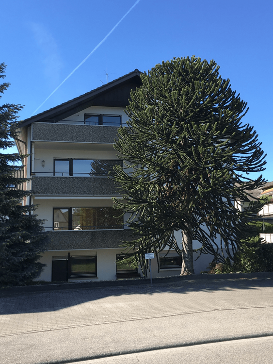 Wohnung zum Mieten in Baden-Baden 750 € 65 m²