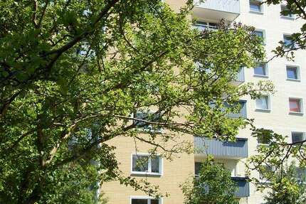 Wohnung Neumünster Gartenstadt - 4 Zimmer, 84 m&sup2;, 565&euro; | Angebot:25419569