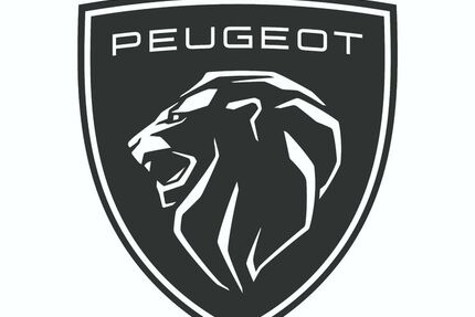 Peugeot 3008 91.100 km 24.990 &euro; Bad Krozingen 79189