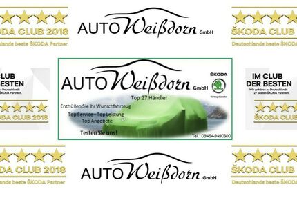 Skoda Octavia 124.000 km 19.400 € Aufhausen 93089