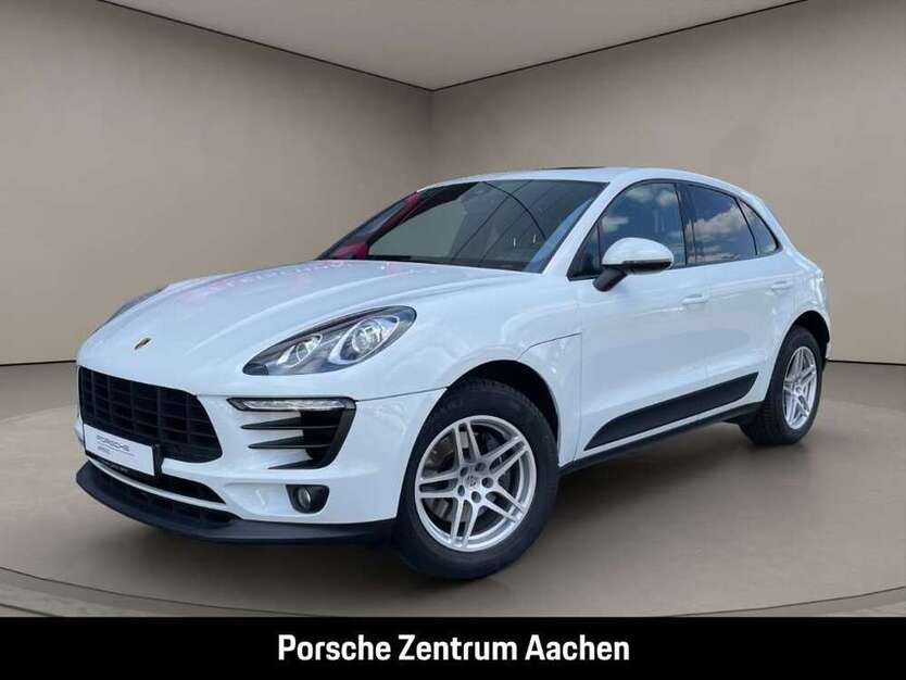 Macan