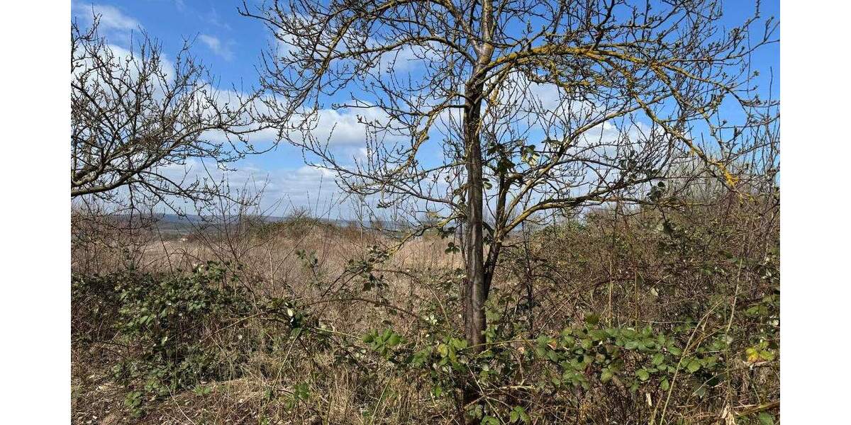 Grundstück Bovenden Eddigehausen - 1.800.000&euro; | Angebot:25731756