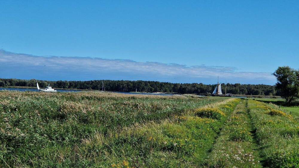 HotelAppartementsFerienwohnungen 1 zimmer