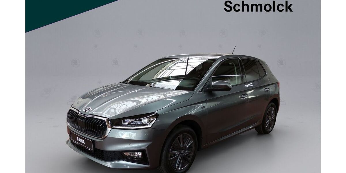 Skoda Fabia 3.500 km 17.990 &euro; Emmendingen 79312