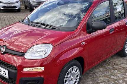 Fiat Panda 2.500 km 14.490 &euro; Neuruppin 16816