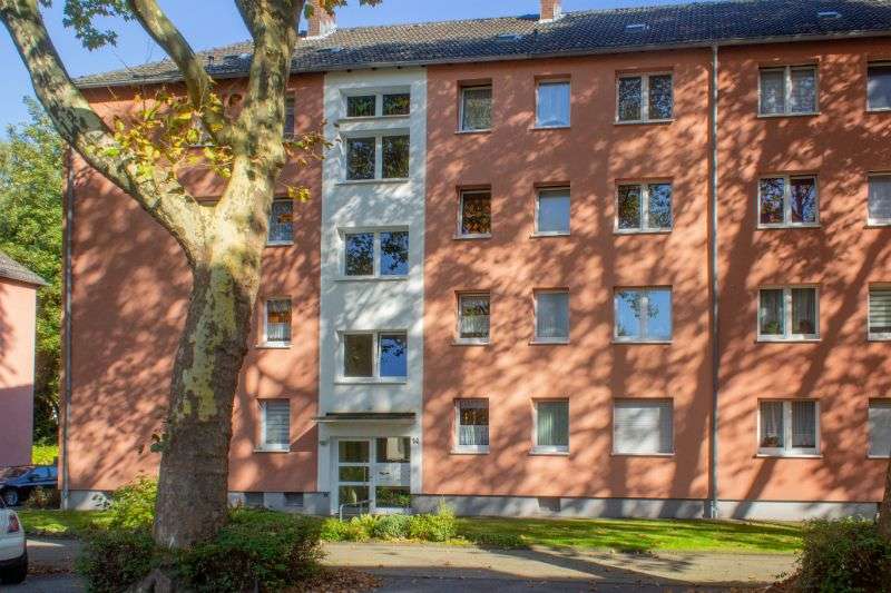 Etagenwohnung Essen Altenessen - 3 Zimmer, 63 m&sup2;, 495&euro; | Angebot:26906327