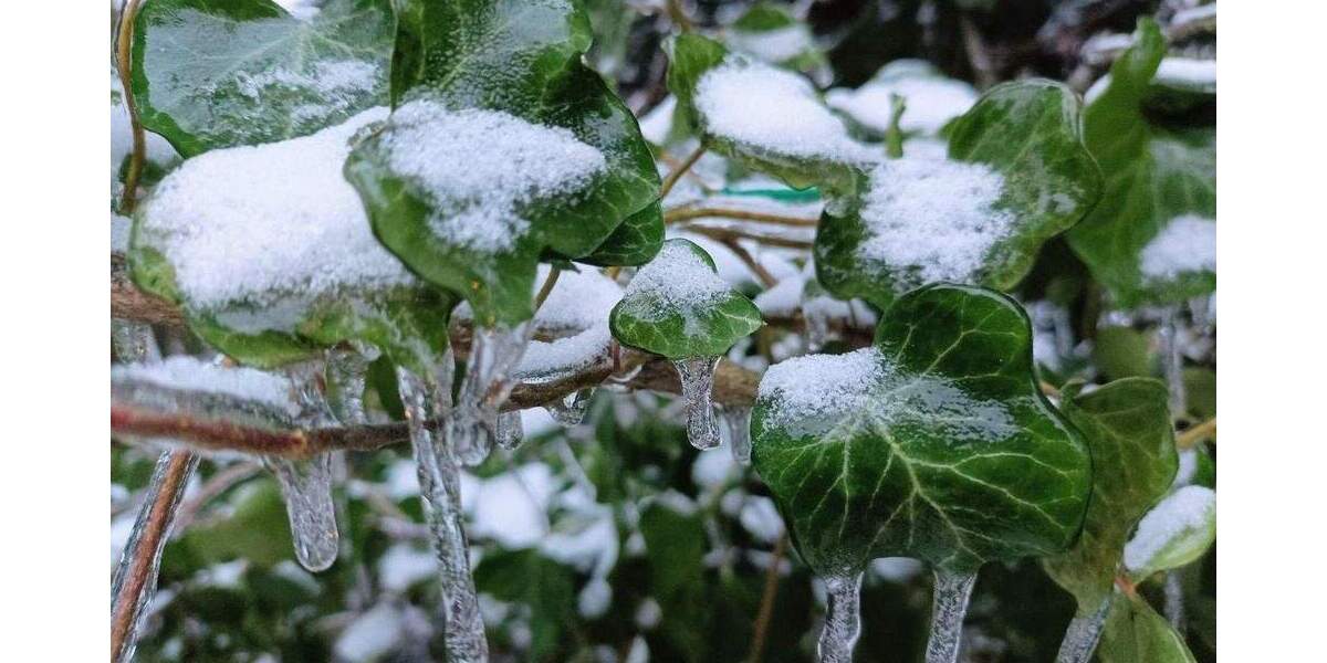 Grundstück Berlin Biesdorf - 580.000&euro; | Angebot:25073397