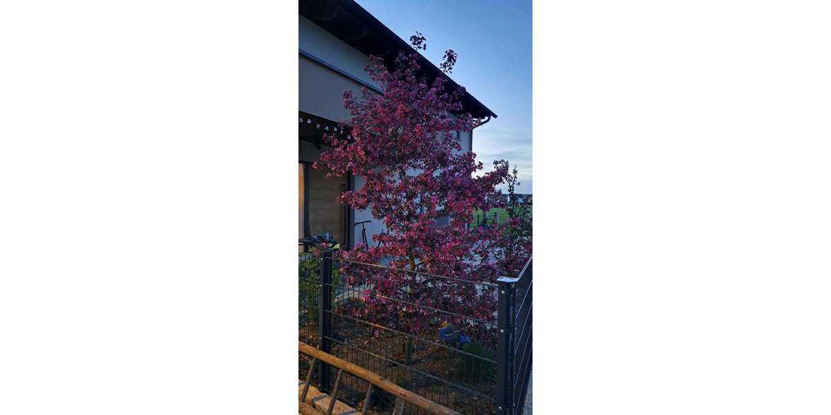 Einfamilienhaus Langensendelbach - 6 Zimmer, 178 m&sup2;, 1.100.000&euro; | Angebot:26307849