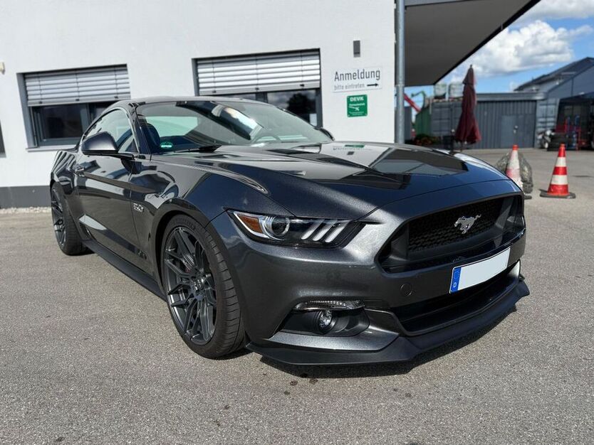 Mustang