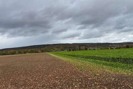 Grundstück zu verkaufen in Springe-Alvesrode 135.000 € 1030 m² zimmer