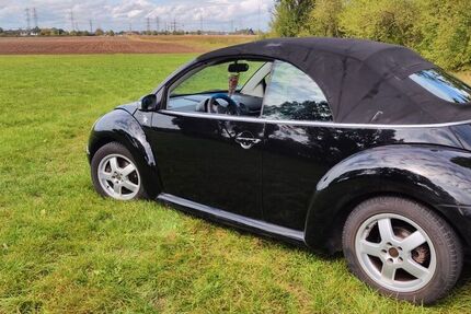 VW Beetle