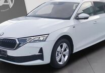 Gebrauchtwagen Skoda Octavia