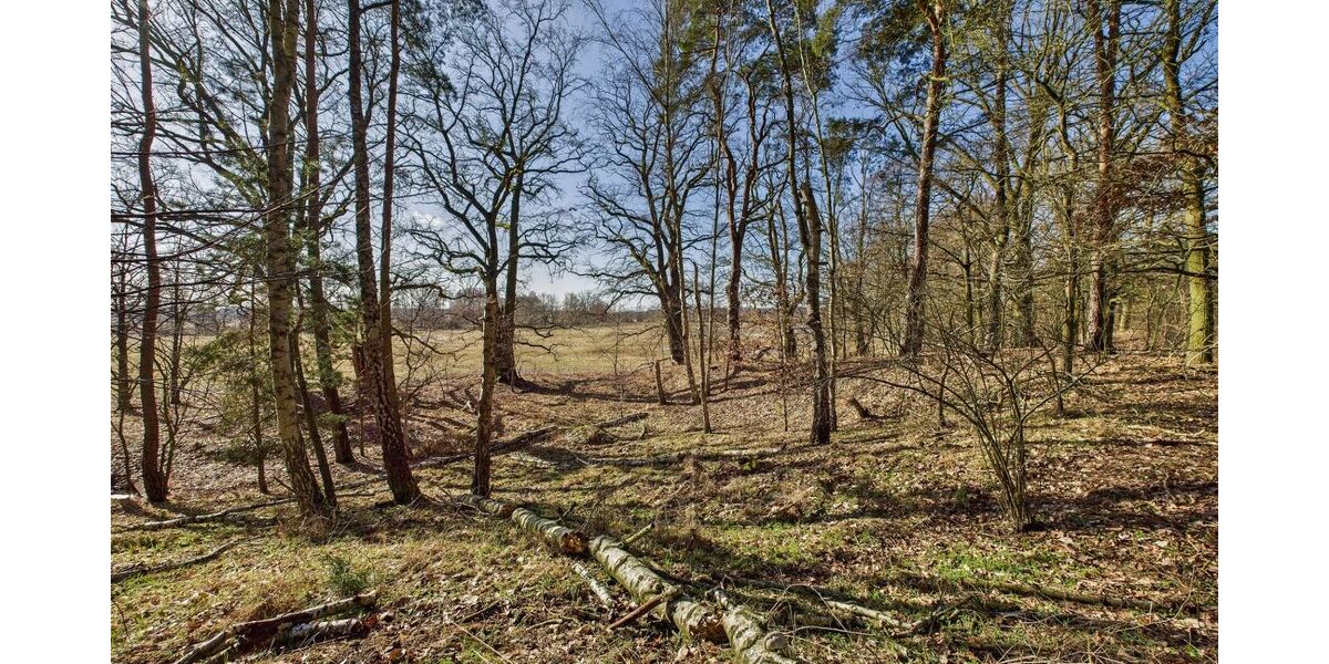 Baugrundstück in kleiner Siedlung - umgeben von Wald und Wiesen - nahe der Spree - Grundstück Grünheide (Mark) | Angebot:25943955