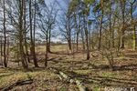 Baugrundstück in kleiner Siedlung - umgeben von Wald und Wiesen - nahe der Spree - Grundstück Grünheide (Mark) | Angebot:25943955