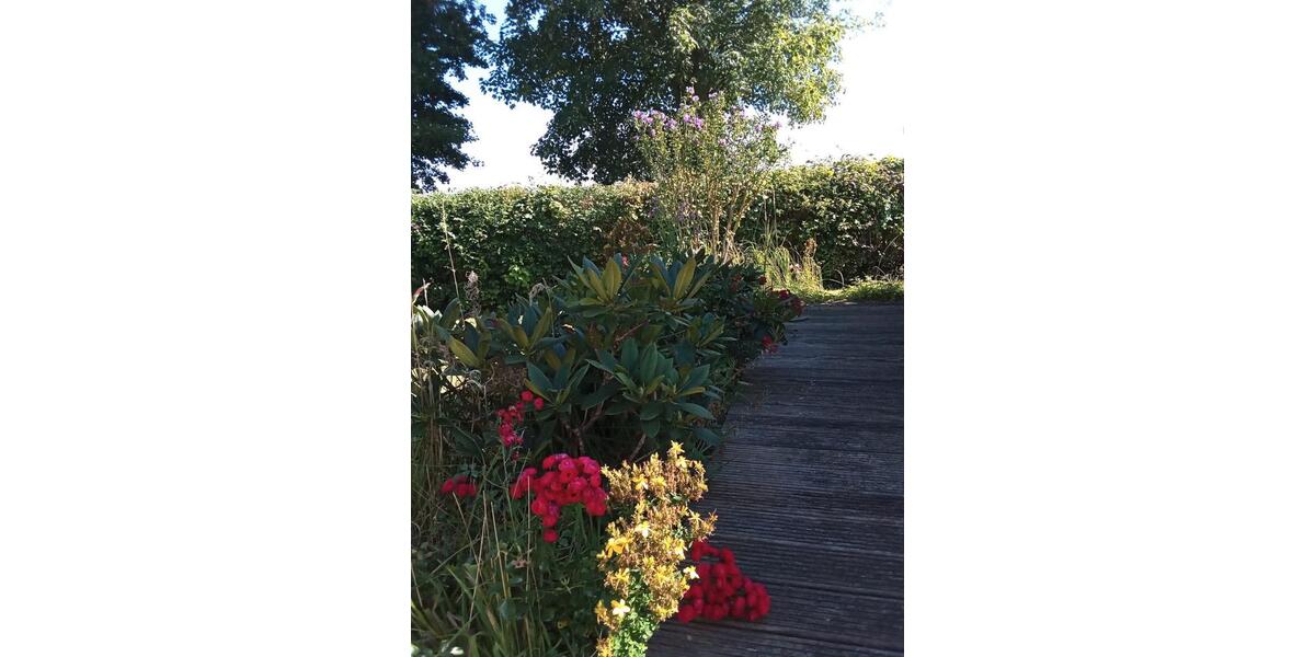 Einfamilienhaus Dahme - 2 Zimmer, 40 m&sup2;, 110.000&euro; | Angebot:27001990