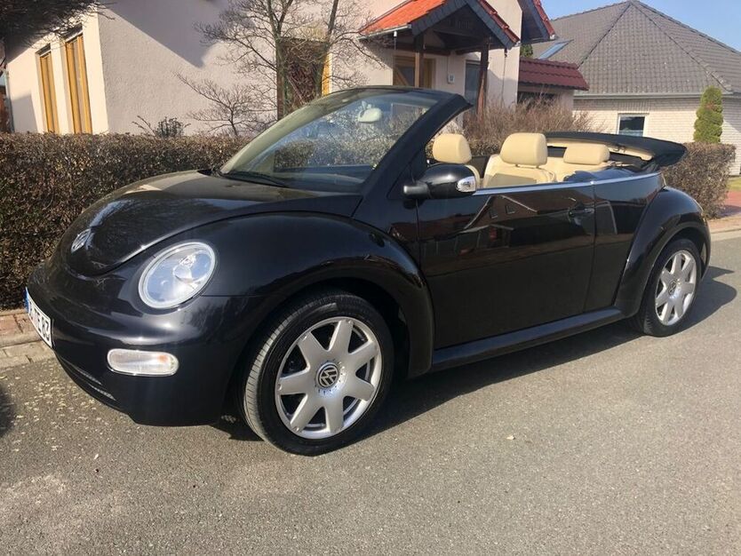Beetle