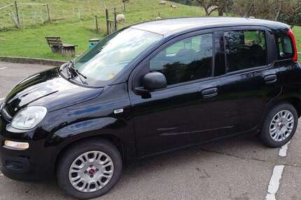 Fiat Panda 67.352 km 7.500 € Murrhardt 71540