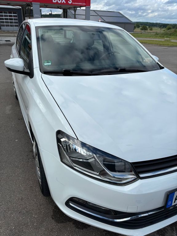 Polo
