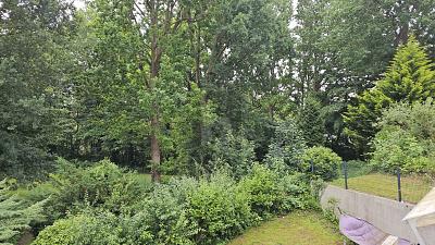 KLEIN ABER FEIN - FERIENVERMIETUNG AN DER OSTSEE - Wohnung Sierksdorf | Angebot:26162290