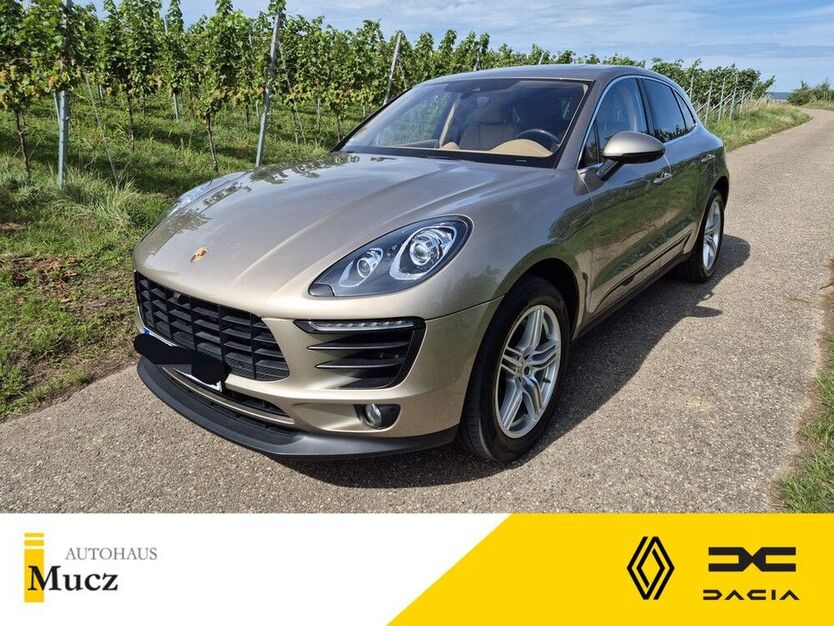 Macan
