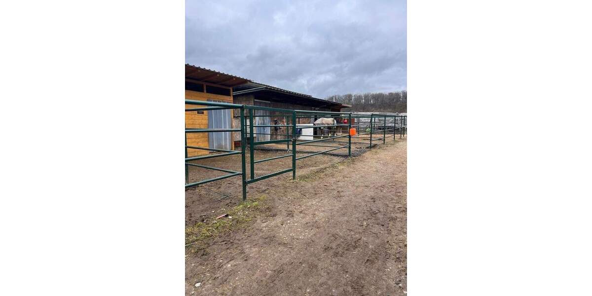 Mehrfamilienhaus, Wohnhaus Leutershausen Steinberg - 1.090.000&euro; | Angebot:26117956