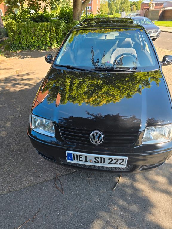 Polo