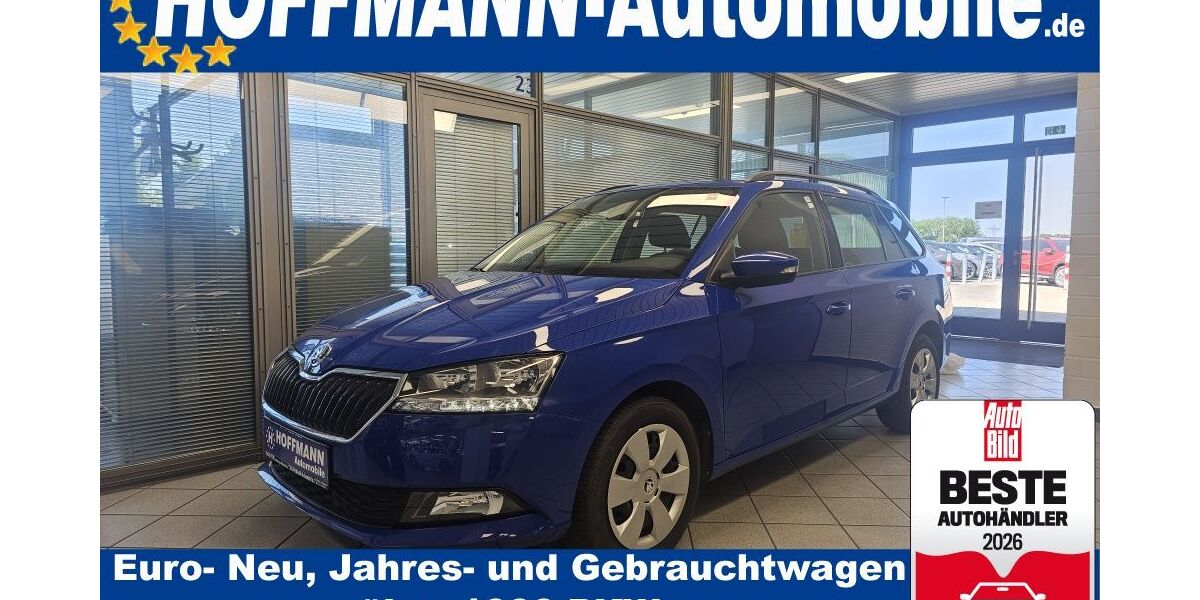 Skoda Fabia 20.778 km 11.900 &euro; Wolfsburg-Heiligendorf 38444