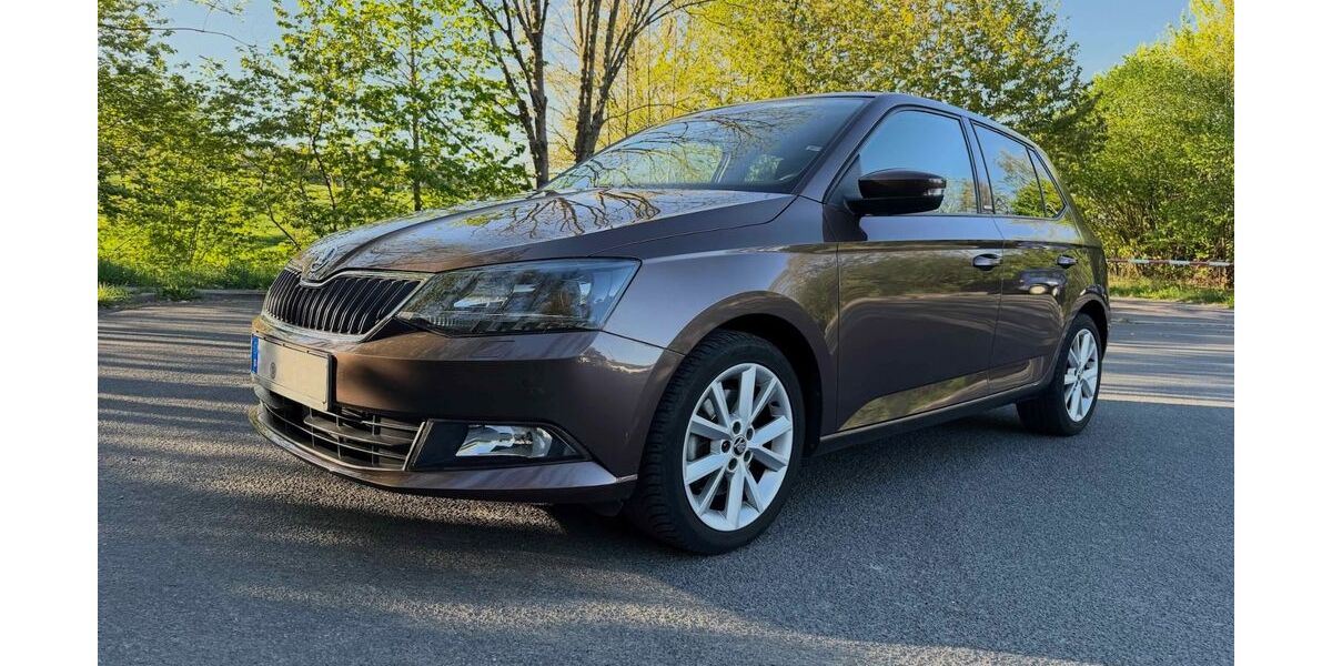 Skoda Fabia 68.000 km 11.200 &euro; Hemer 58675