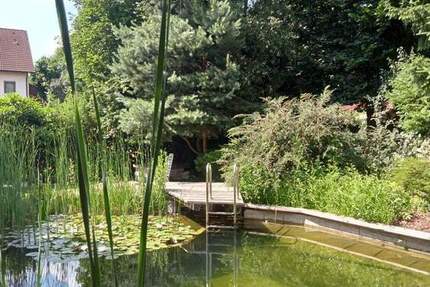 Traumhaus mit Schwimmteich und viel Platz 6 zimmer