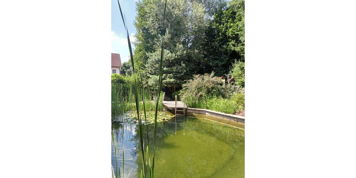 Traumhaus mit Schwimmteich und viel Platz 6 zimmer