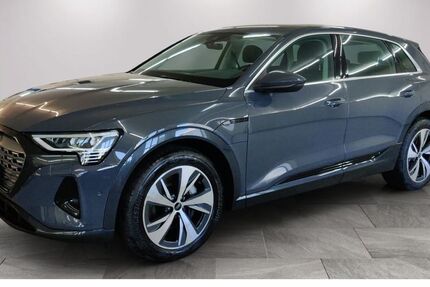 Audi Q8 e-tron 2.220 km 47.480 € Borna 04552