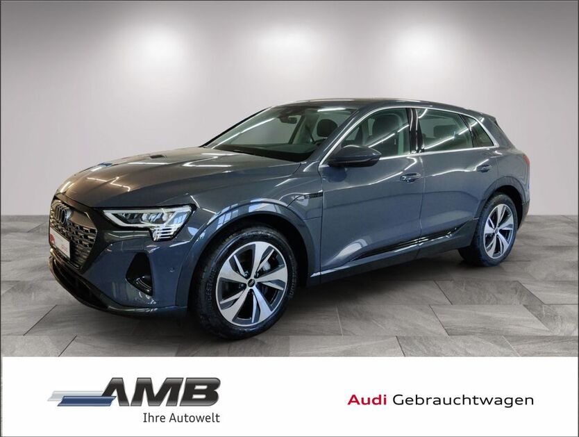 Audi Q8 e-tron 2.220 km 47.480 € Borna 04552