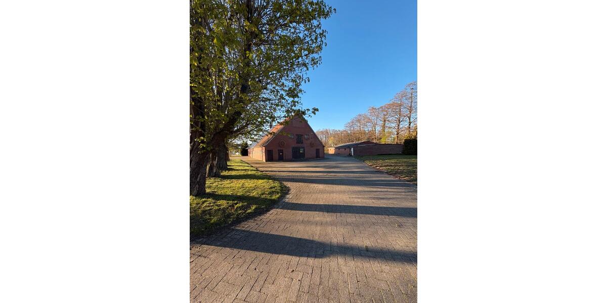 Bauernhaus, Landhaus Wilsum - 7 Zimmer, 250 m&sup2;, 420.000&euro; | Angebot:27232136