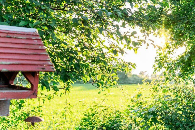 Einfamilienhaus Oeversee Sankelmark - 285.000&euro; | Angebot:26878791
