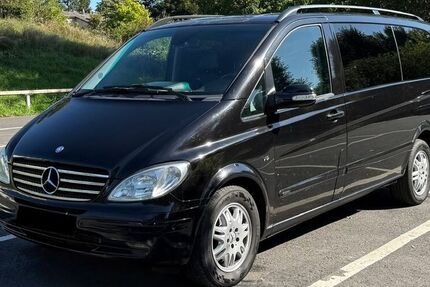 Mercedes Viano