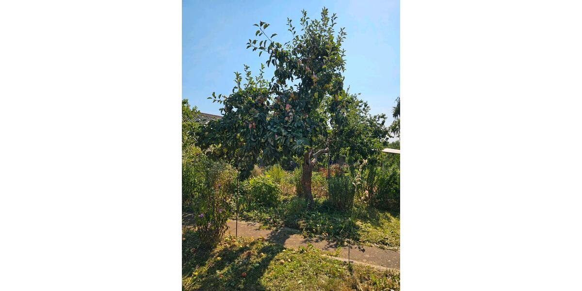Einfamilienhaus Nordhausen - 6 Zimmer, 138 m&sup2;, 89.000&euro; | Angebot:25936231