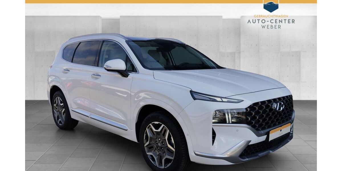 Hyundai SANTA FE 3.600 km 45.890 &euro; Markkleeberg 04416