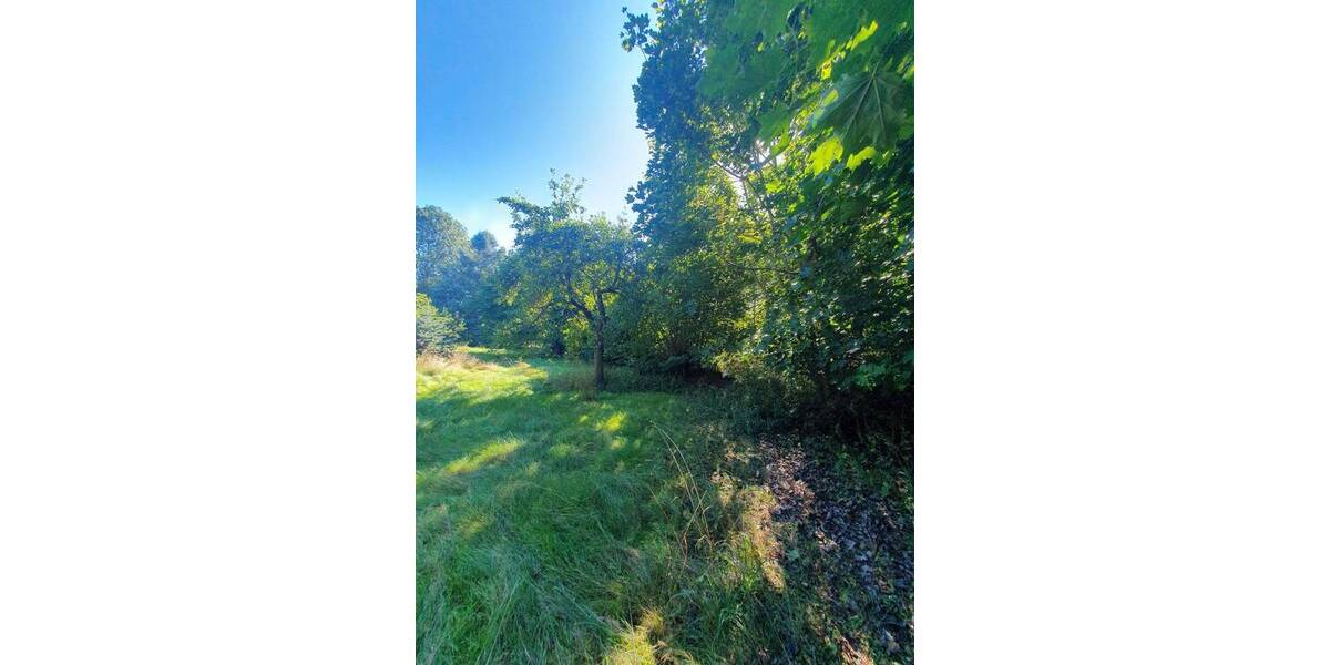 Doppelhaushälfte Bad Schmiedeberg - 4 Zimmer, 104 m&sup2;, 109.000&euro; | Angebot:25665773